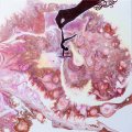 Kundbild Pouring medium Liquitex 946 ml: Pouring Medium Liquitex är...