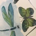 Kundbild Akvarellfärg W&N Cotman Water Brush Pen set 12: Toppen!