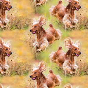 Mönstrad Trikå 150 cm - Cockerspaniel Mönstrad Trikå 150 cm - Cockerspaniel
